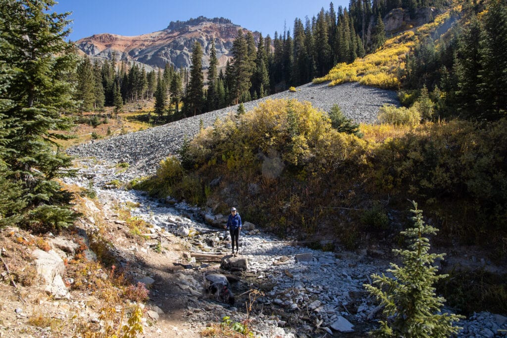 Hope Lake Trail // Learn about 7 of the best Telluride hikes including distance, elevation gain, and directions to the trailheads.