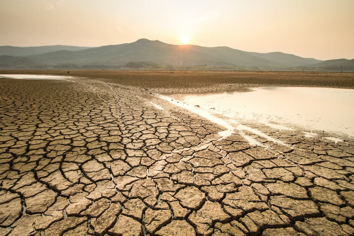 Learn about drought conditions in the West, including what causes drought and the impact on wildlife and our food supply.