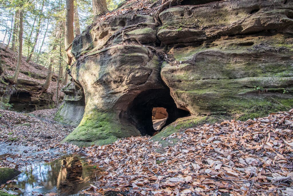 Are dogs allowed in Mammoth Cave National Park? Learn the trails and campgrounds where dogs are permitted in this blog post.