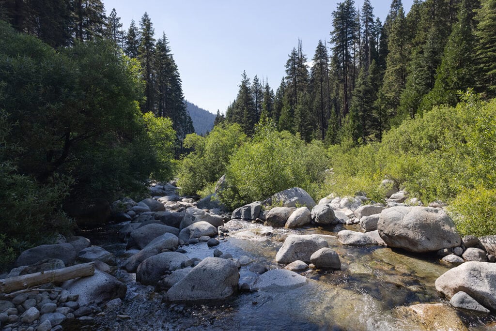 Cliff Creek on the Mineral King Loop in Sequoia National Park