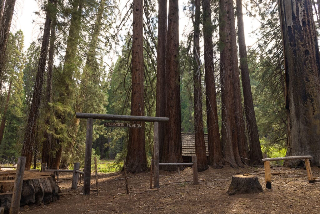 Redwood Meadow on the Mineral King Loop in Sequoia National Park