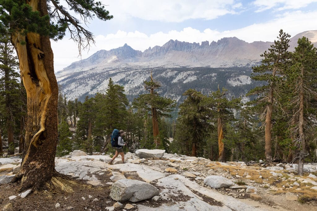 Views from the Mineral King Loop in Sequoia National Park