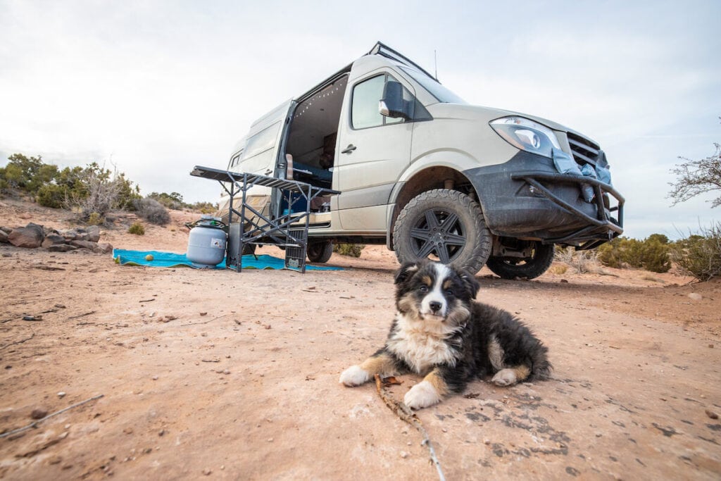 Gumbo in the desert with a Sprinter in the background // Get 15 practical tips for road trips with your dog, including training & ideas for keeping your dog exercised & entertained on the road.