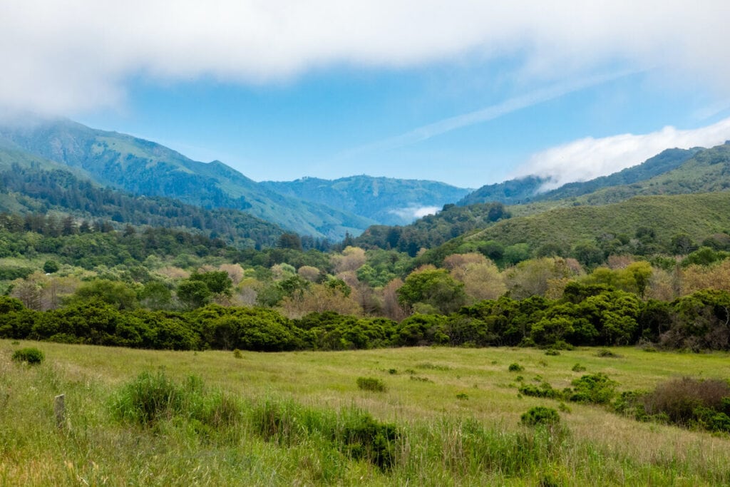 Andrew Molera State Park // Here are the top things to do in Big Sur, California including camping, hiking, restaurants, sightseeing, and more.