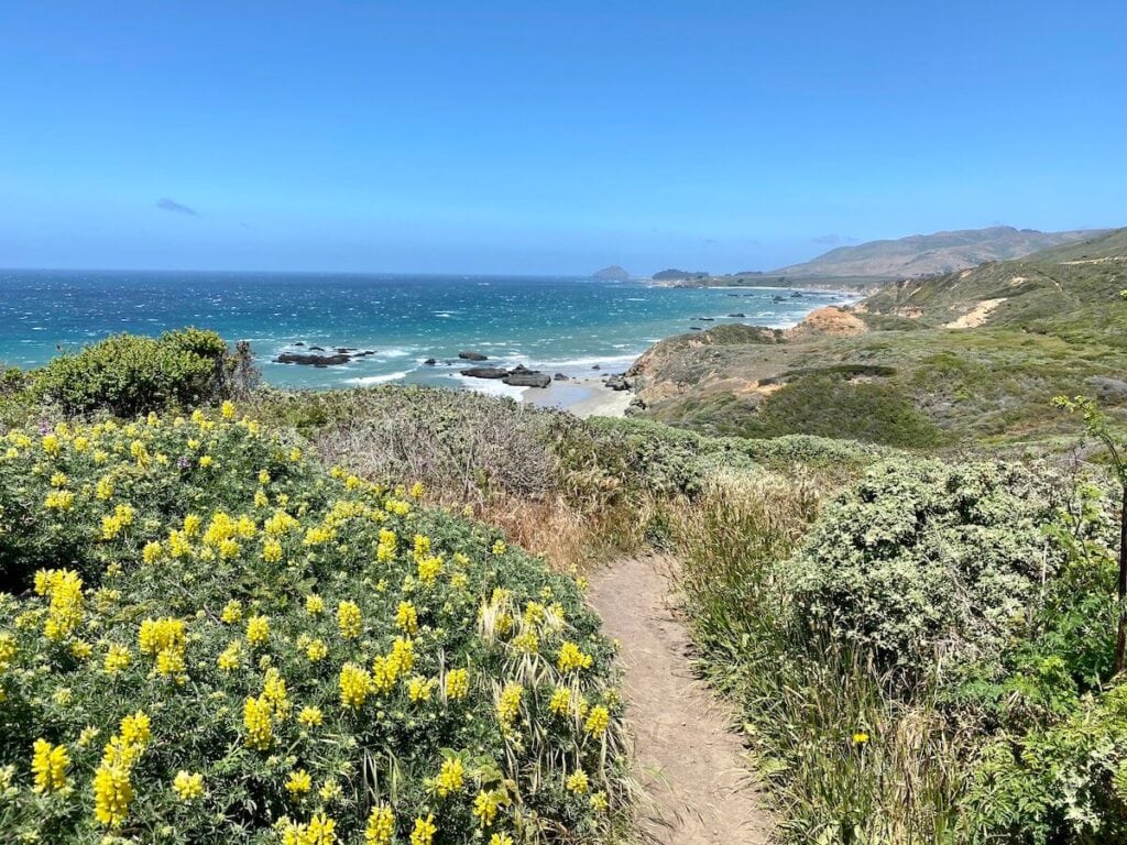 Andrew Molera State Park // Learn about 12 of the best California beach campgrounds with tent/RV sites right on the coast in Northern, Central, and Southern California.