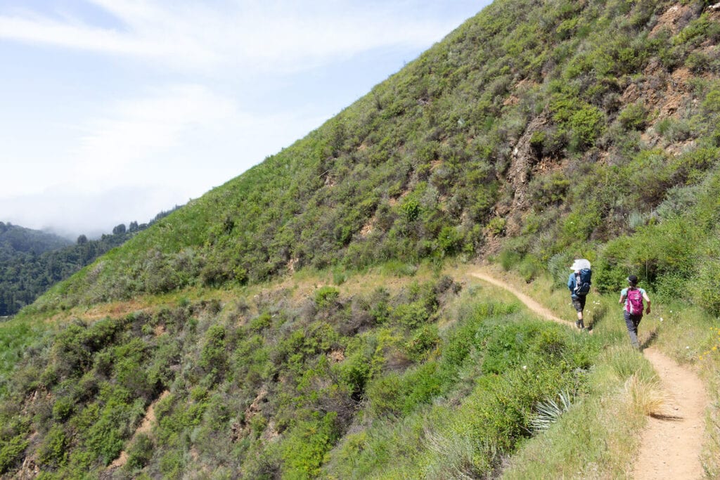 Mt Manuel trail // Here are the top things to do in Big Sur, California including camping, hiking, restaurants, sightseeing, and more.