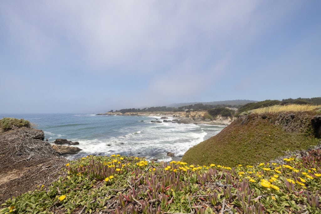 12 Best California Beach Campgrounds