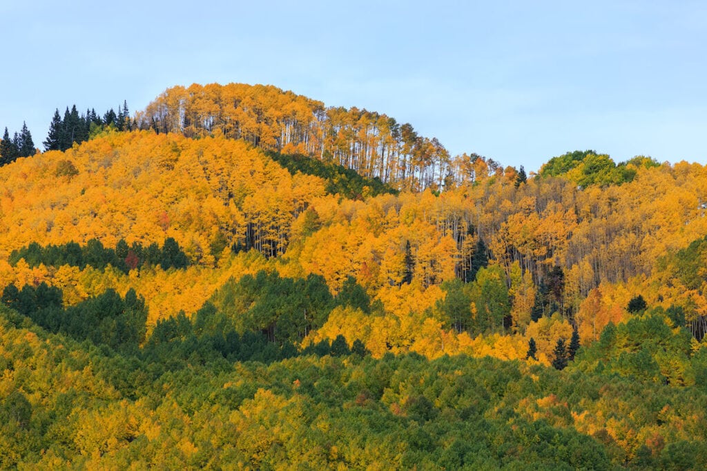 Deep Creek // Learn about the best fall hikes in Southwest Colorado near Durango, Telluride, and Great Sand Dunes National Park with trail stats and more.