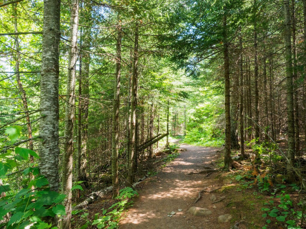 Mystery Cave State Park // See the top Minnesota road trip stops for outdoor adventure including State Parks, scenic drives, waterfalls, and day trips from Minneapolis.