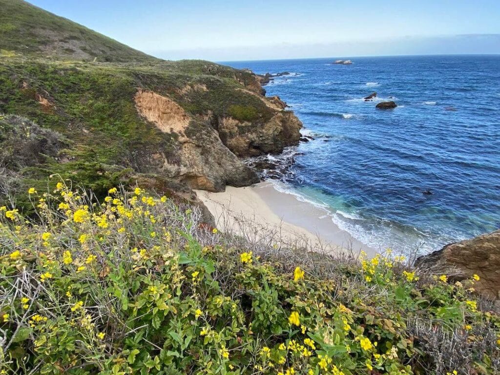 Bluff Trail Garrapata State Park // Here are the top things to do in Big Sur, California including camping, hiking, restaurants, sightseeing, and more.