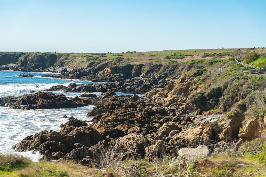 Hearst San Simeon State Park // Learn about 12 of the best California beach campgrounds with tent/RV sites right on the coast in Northern, Central, and Southern California.