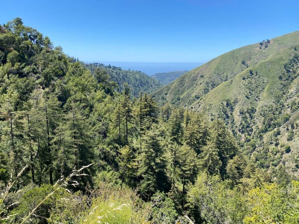 Pine Ridge Trail // Here are the top things to do in Big Sur, California including camping, hiking, restaurants, sightseeing, and more.