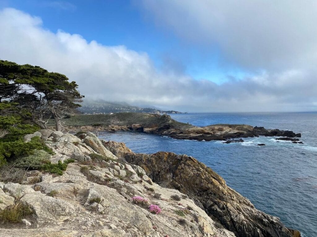 Point Lobos Natural Reserve // Here are the top things to do in Big Sur, California including camping, hiking, restaurants, sightseeing, and more.