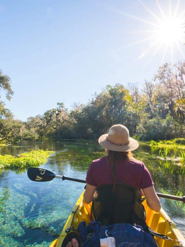 Kayak Camping Bearfoot Theory