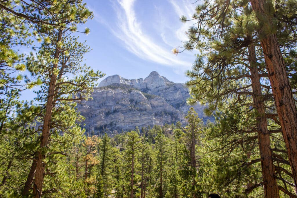 Mt. Charleston // Looking to get away from the casinos? Here are our favorite outdoor activities in Las Vegas to get you outside and off the strip.