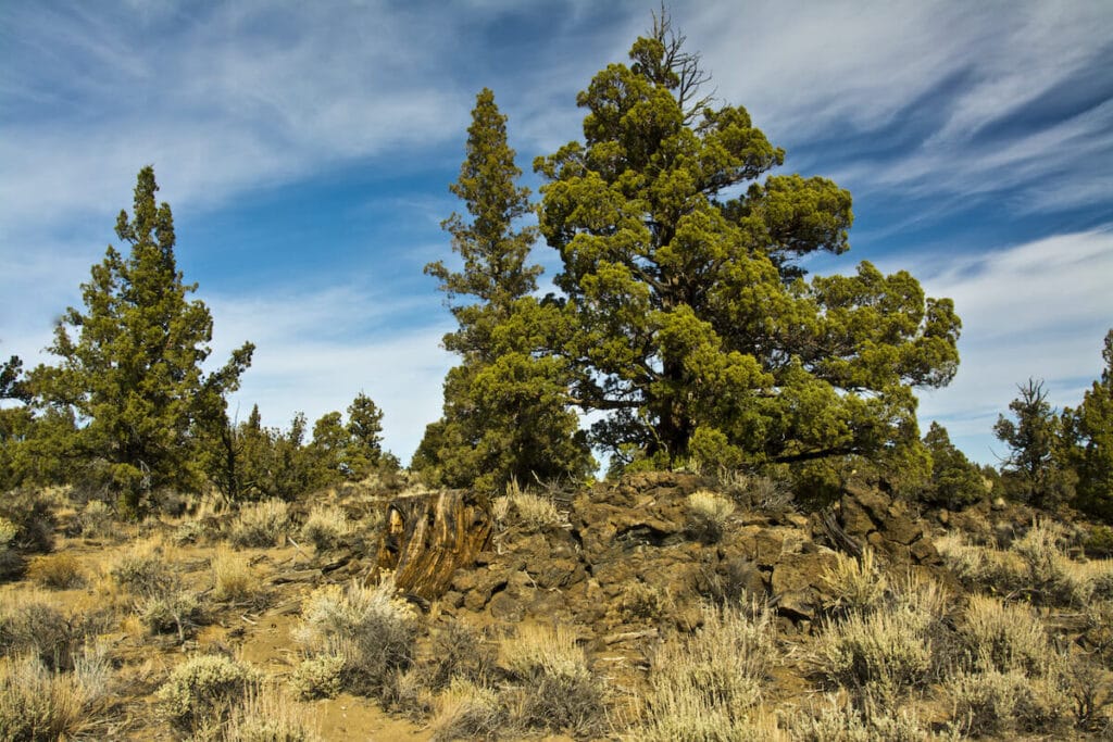 Oregon Badlands // Discover the best hikes in Bend, Oregon from the high desert to the Cascade Mountains to make planning your Central Oregon hikes easy.