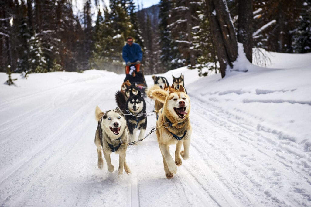 Dog sledding // Start planning your Idaho winter vacation with these fun winter activities, from hot springs to snowmobiling to dog sledding and more.