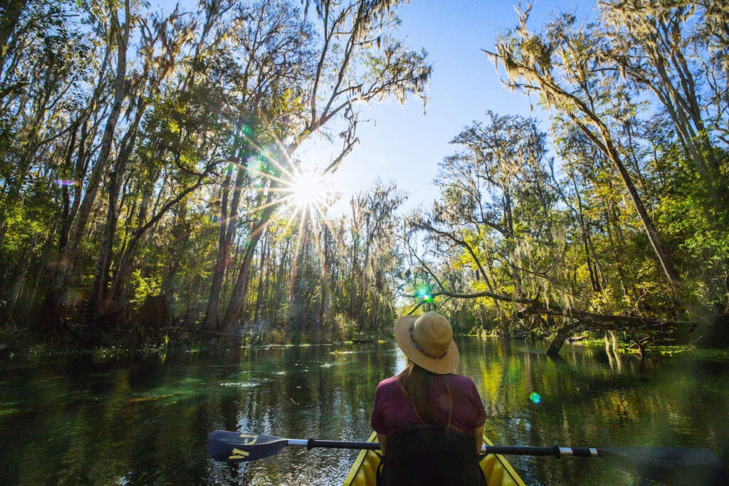 Woman kayaking for wildlife viewing