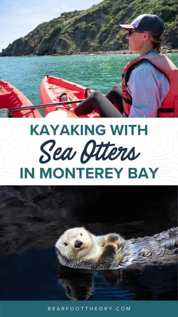 Learn everything you need to know about kayaking with sea otters in Monterey Bay, California including what to expect, what to pack, & more!