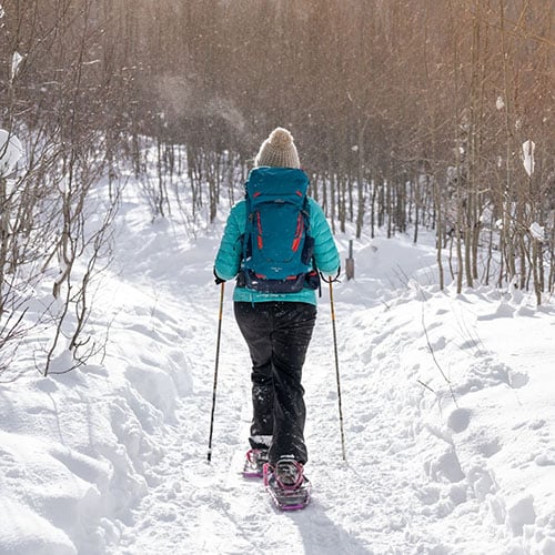 Snowshoeing 101