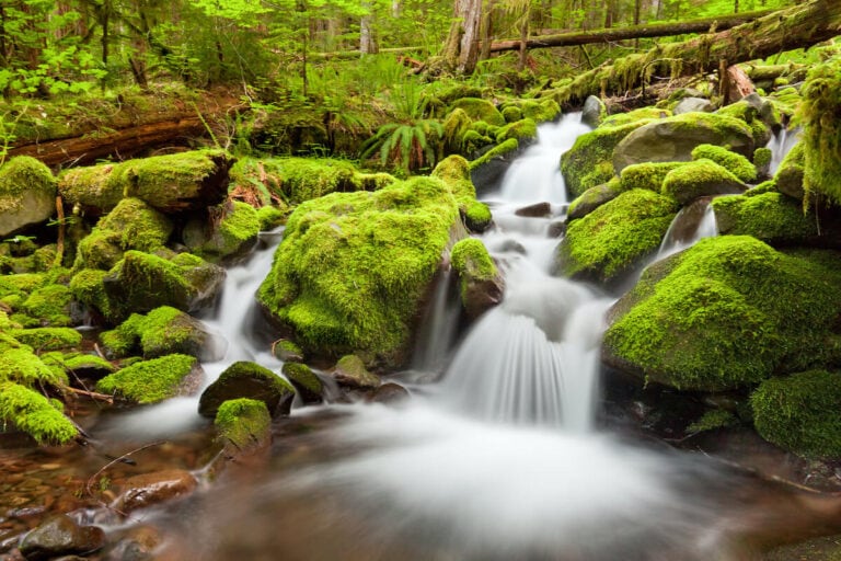 6 Best Waterfall Hikes in Washington