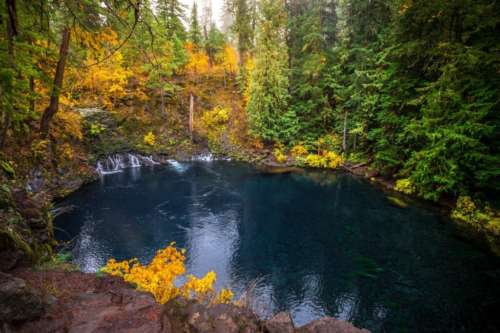 Tamolitch Falls Blue Pool // Discover the best waterfall hikes near Eugene Oregon 