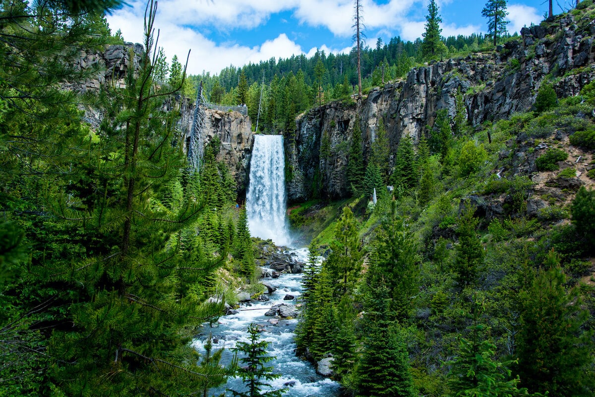 11 Best Oregon Waterfall Hikes Bearfoot Theory