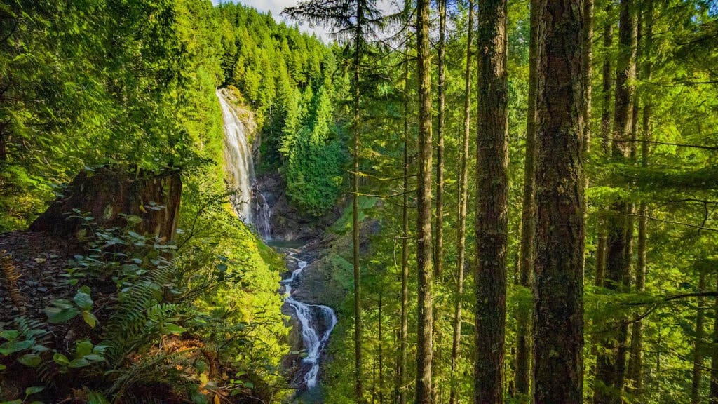 Wallace Falls // One of our favorite easy hikes near Seattle