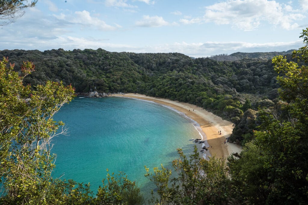 Beautiful beach on the Abel Tasman Great Walk coastline in New Zealand