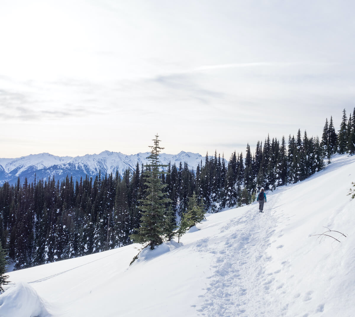 Snowshoeing at Hurricane Ridge in Olympic National Park // Explore the best Washington snowshoeing routes this winter with our detailed trail guides and important winter safety information.