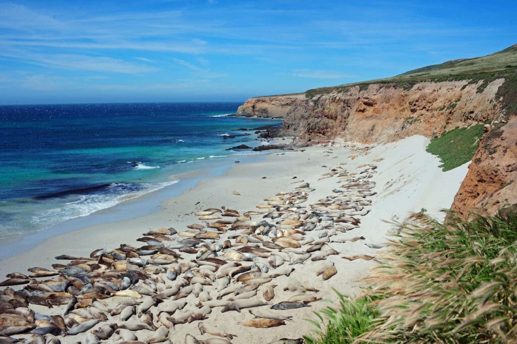 Channel Islands National Park Visitor Information - Visit Oxnard