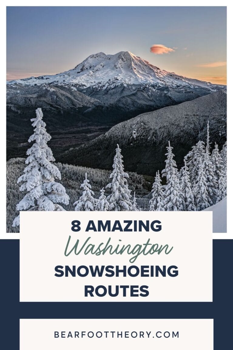 8 Amazing Washington Snowshoeing Routes Bearfoot Theory