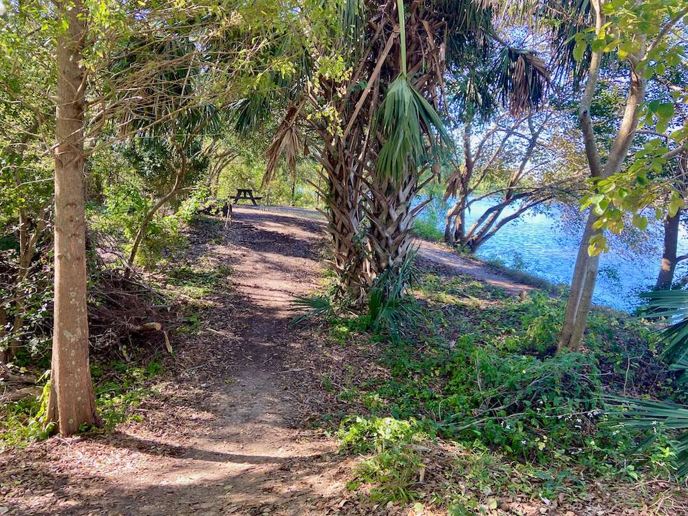 Forested hiking trail along a river in Couturie Forest in New Orleans' City Park