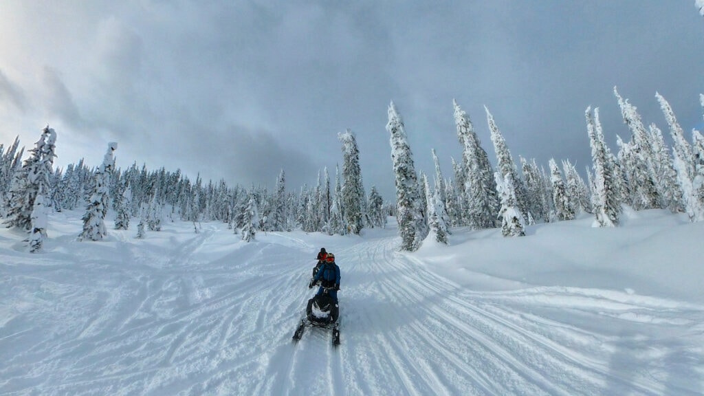 The Sledder Tour with Great Canadian Tours in Revelstoke
