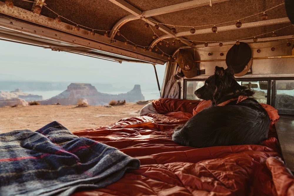 Black dog sitting on platform bed in back or truck camper lookout out over Utah canyonlands