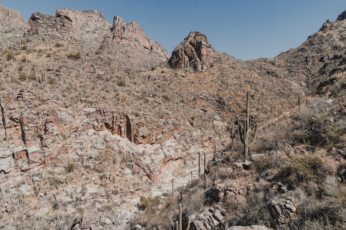 6 Best Tucson Hiking Trails