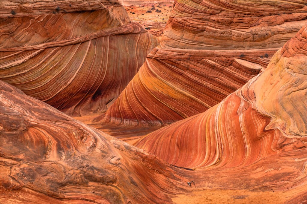 The Wave in Arizona with red sandstone striations