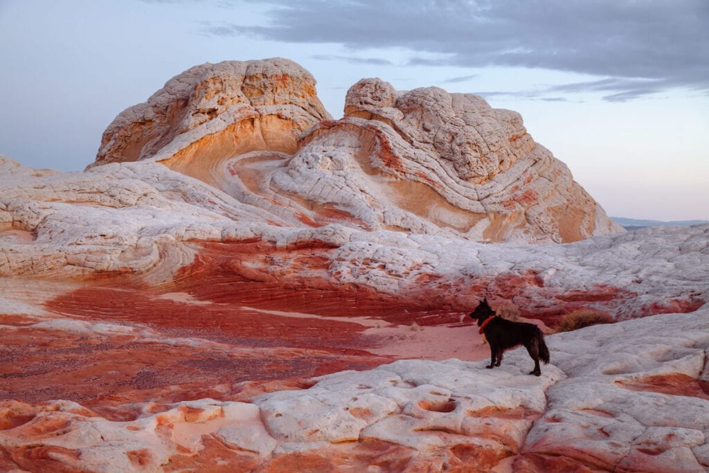 Red and white sandstone formations in The White Pocket area of The Vermillion Cliffs National Monument near Kanab Utah