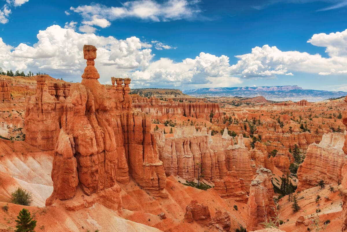 red hoodoos in bryce canyon national park