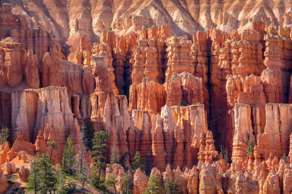 Red rock hoodoo formations in Bryce Canyon National Park