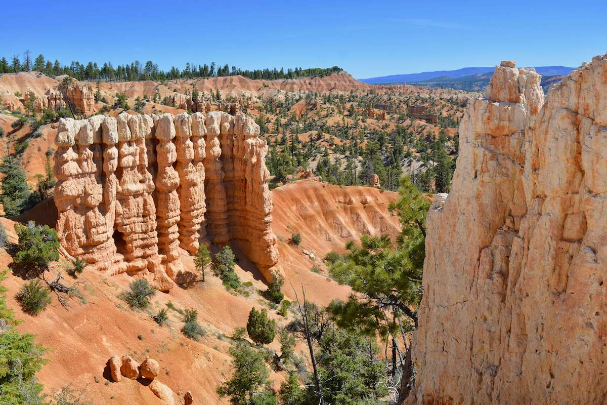 Views out over hoodoos in Bryce National Park