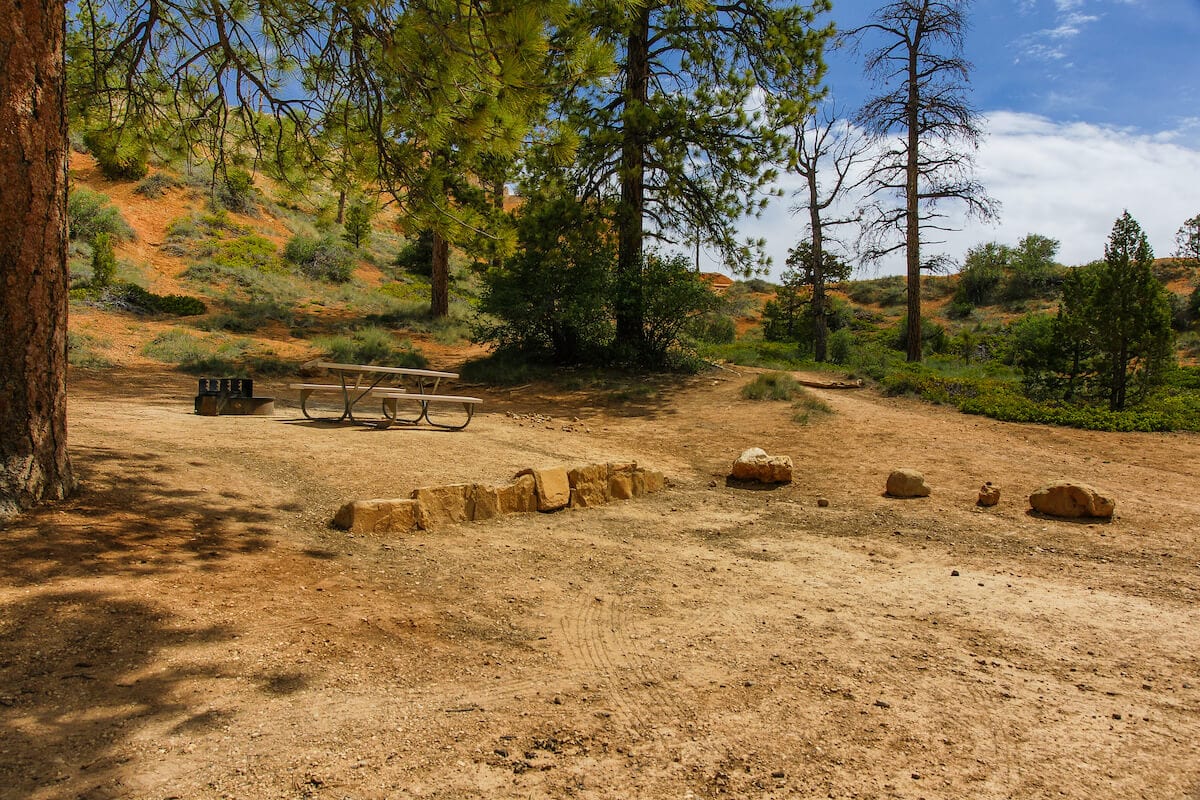 An empty campsite at North Campground in Bryce Canyon National Park. It is a dirt site surrounded by pine trees.