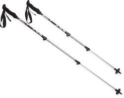 REI Trailbreak Trekking Poles