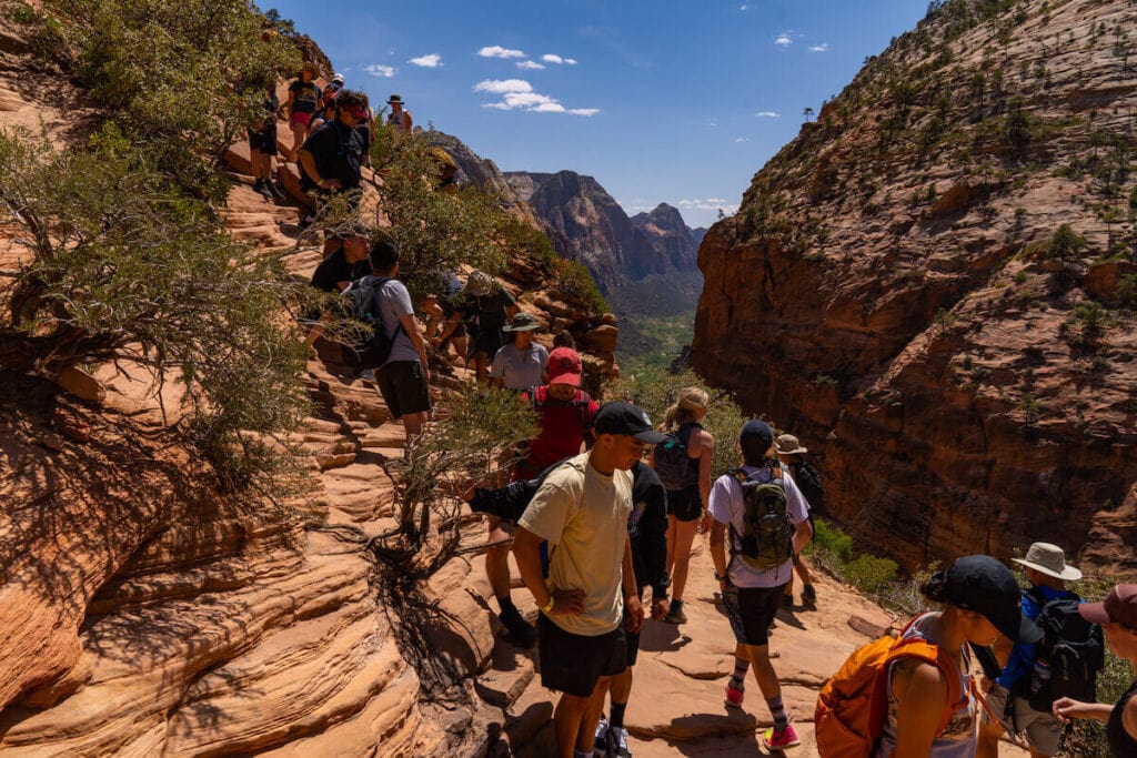 crowds of people near Angel's Landing at Zion National Park