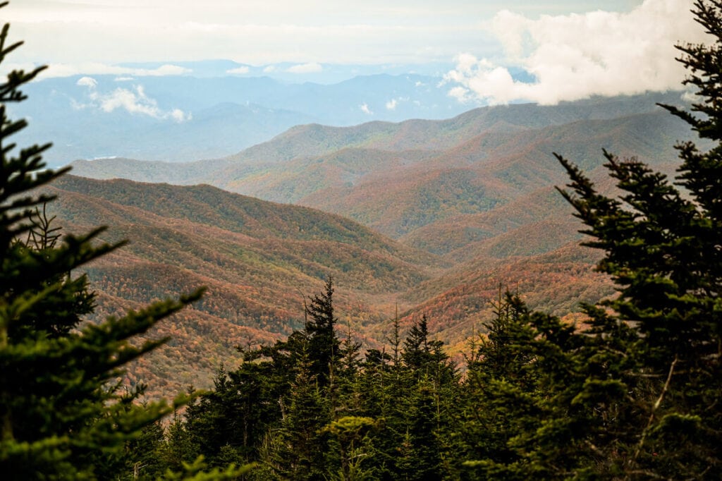 Clingman's Dome fall foliage in Smoky Mountains National Park