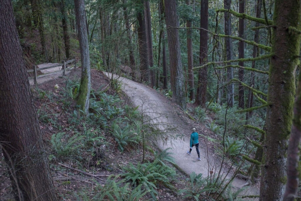 Hiker walking along forested path in Forest Park in Portland, Oregon