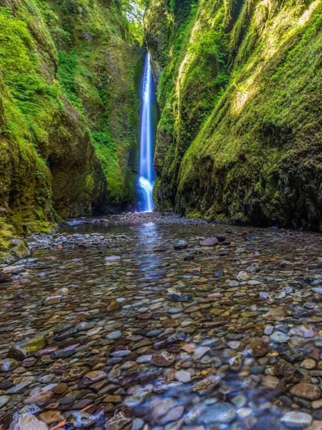 7 Best Hikes In Portland, Oregon Story – Bearfoot Theory