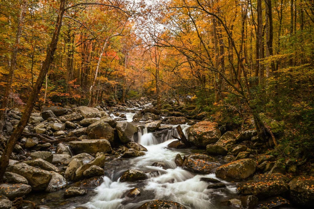 Series of small waterfalls cascading down stream lined with colorful fall foliage in Great Smoky National Park