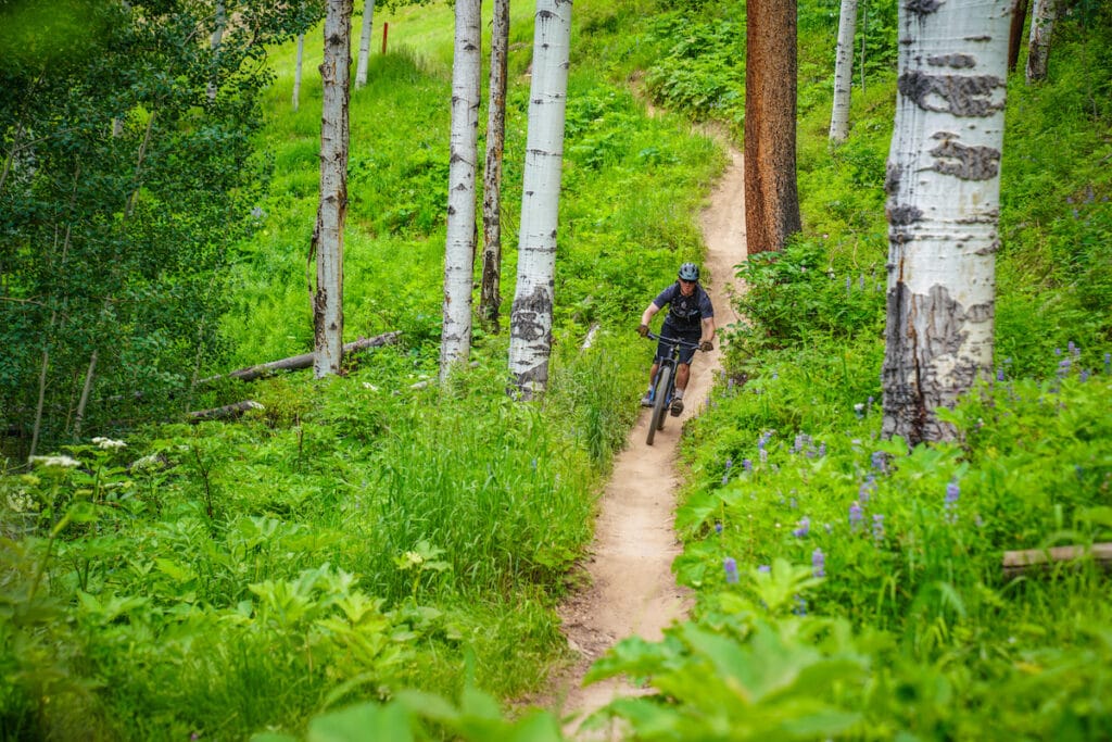 A man mountain bikes though aspen trees near Aspen Colorado