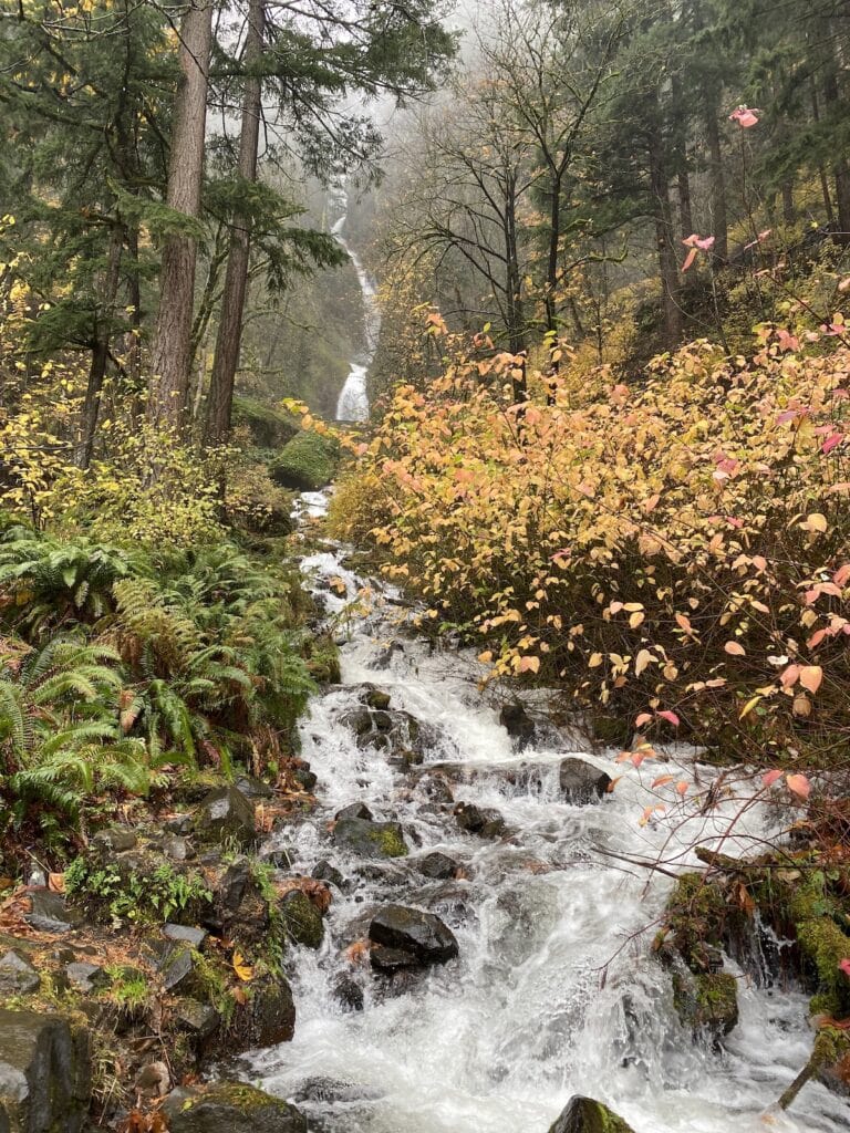 fall colors around a waterfall on the Oneonta Trail